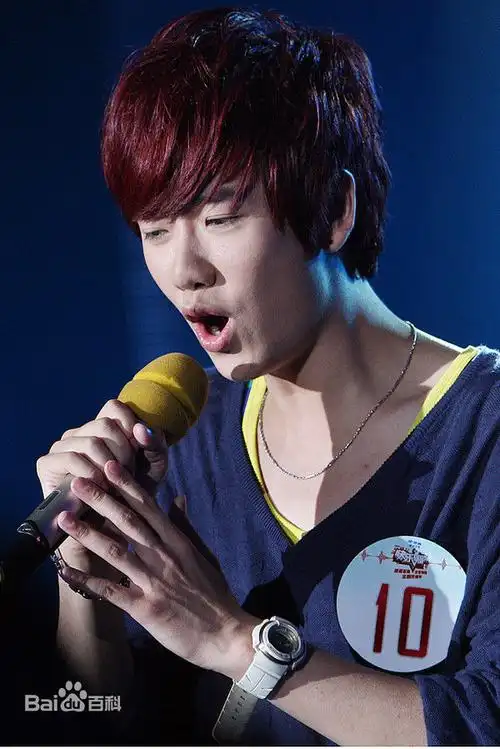 参加快乐男声比赛