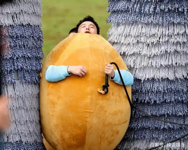 雷佳音《极限挑战》