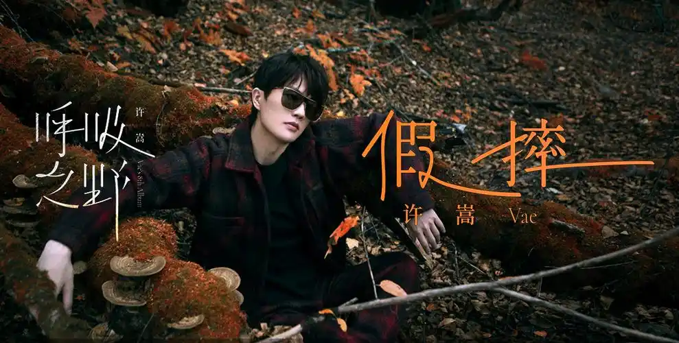 许嵩的歌一番是持续更新新专辑中