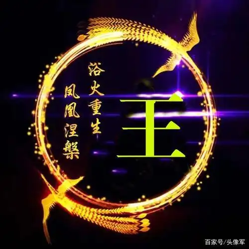 姓氏头像王最新版