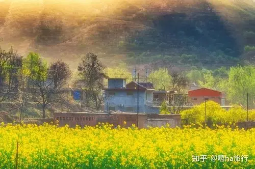 2021年全年旅行图鉴有你想去旅行的地方吗