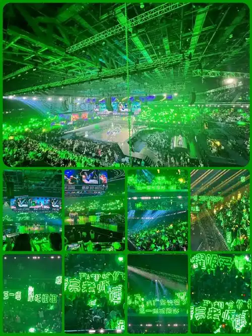 "绿色",是王一博的应援色,在王一博参加的公开活动中,王一博粉丝都