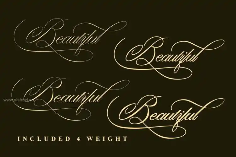 经典优雅的英文女性花体手写字体-washington - 艺字网