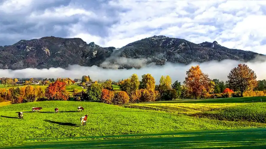 景色旎丽的乡村田园风光