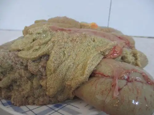 新鲜鱼籽鱼卵鱼蛋新鲜鲤鱼鲫鱼纯鱼籽鱼泡鱼油鱼白鱼杂鱼杂鱼籽酱