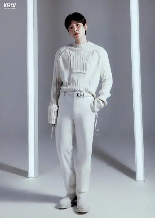 边伯贤亚洲巡演##边伯贤