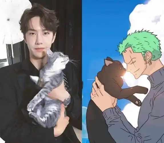 不仅如此,王一博与罗罗诺亚·索隆,也挺有那个意思的呢!