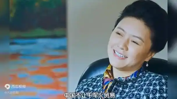 《正阳门下小女人》全剧解说,蒋雯丽带领身边人创业致富走向小康