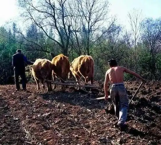 70年代的农村老照片,每个70后都是满满的回忆