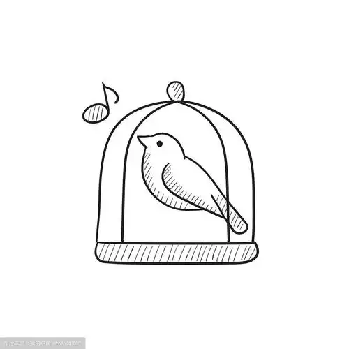 鸟在笼子里唱歌素描图标