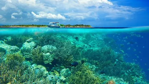 清透海底珊瑚景色图片高清电脑壁纸 第二辑