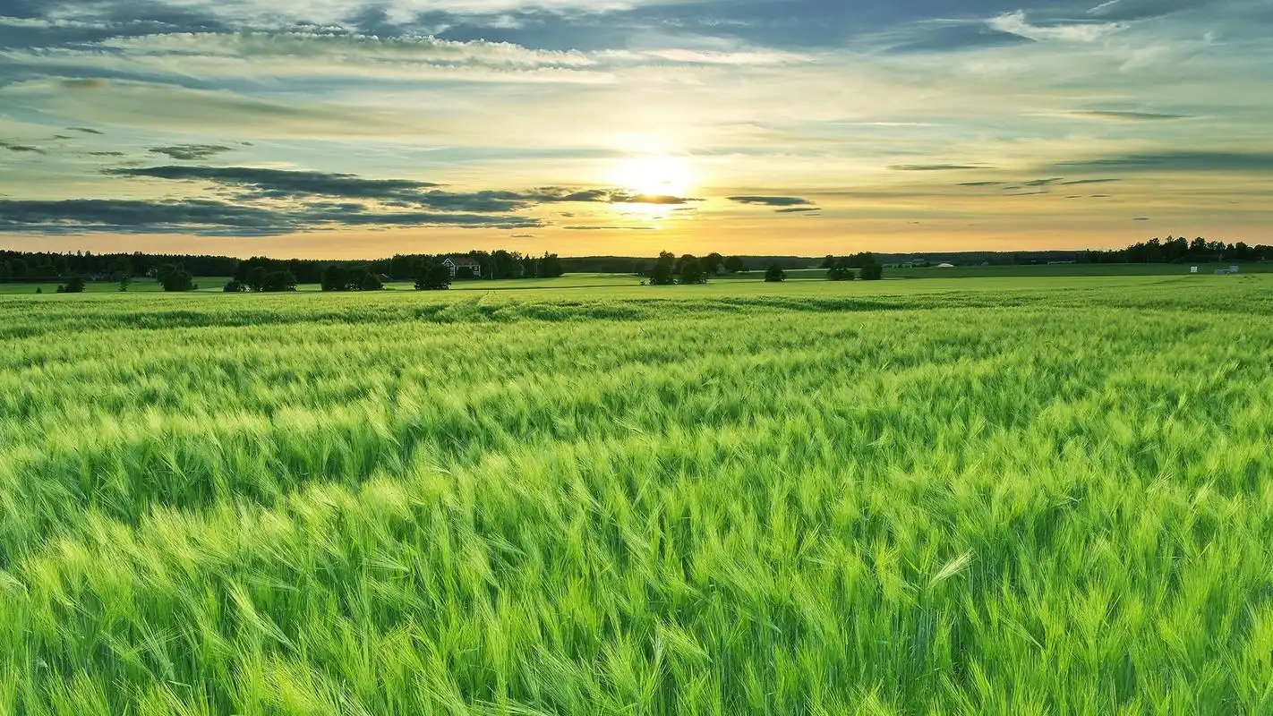 清新绿色田园自然风景高清图片桌面壁纸