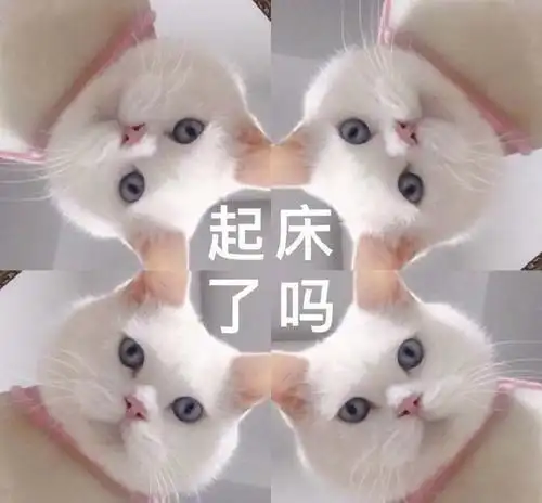 东莞将加快广深高速公路产业类"三旧"连片改造等工程开工建设