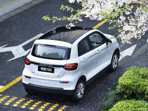 年度盘点2020年10万以内纯电动车汇总