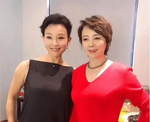 57岁陈冲一家近照,两女儿颜值比她还高,丈夫的相貌却一言难尽_奖项