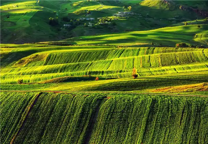 【新疆是个好地方】庭州秀美山水竞芬芳