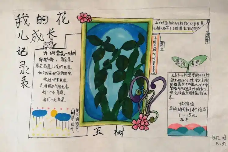 "我的花儿"手抄报活动评比这是养花的快乐!
