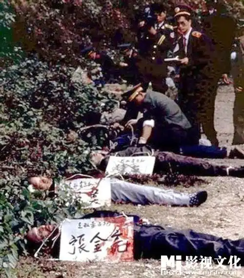 关于死刑犯陶静的问题?