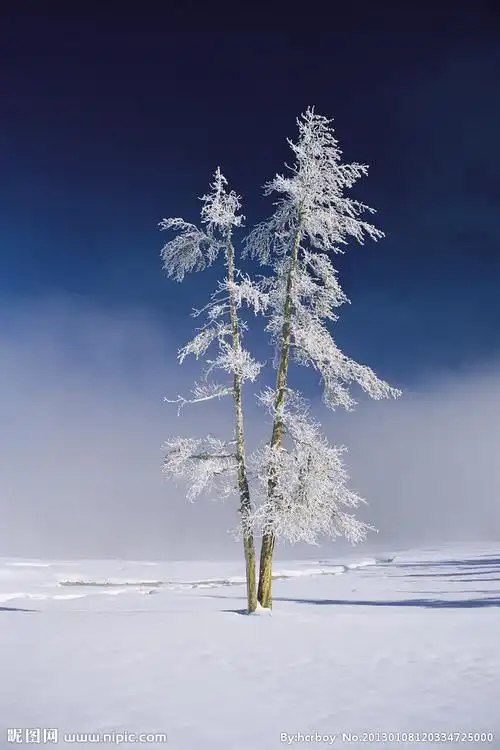 雪景图片