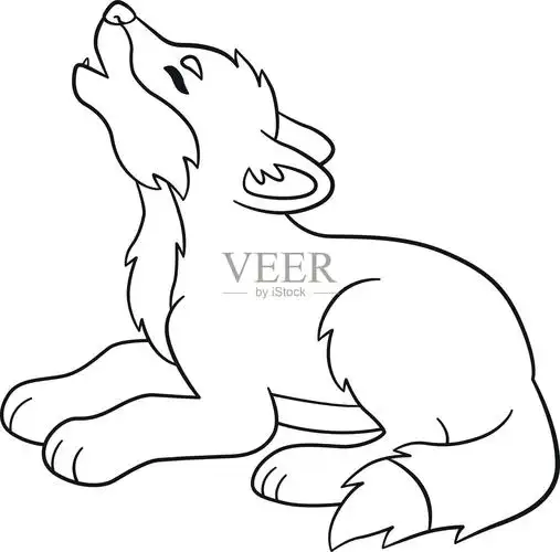 着色页面可爱的小狼宝宝嚎叫插画图片素材