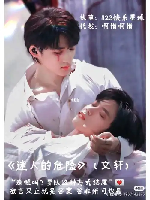 文轩迷人的危险13