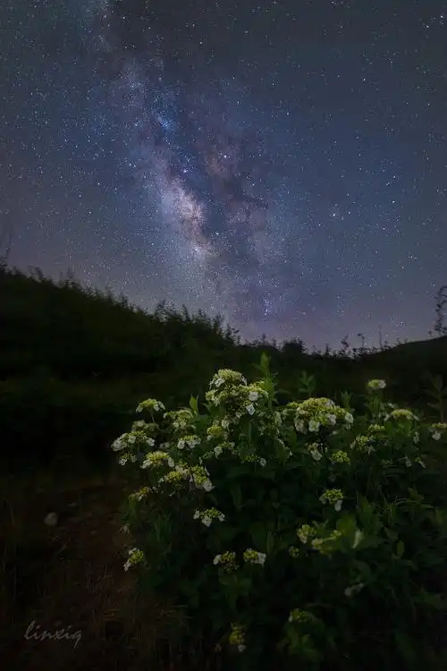 高山草场上的绝美星辰
