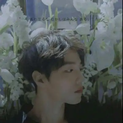 陈情令情侣头像两张一对