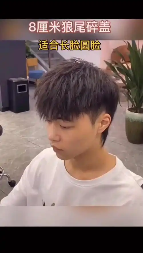 男士发型#8厘米狼尾碎盖