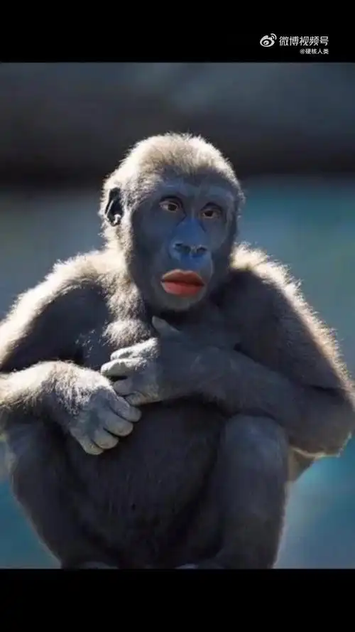 大哥的五官真的很好笑哈哈哈哈哈哈哈哈哈