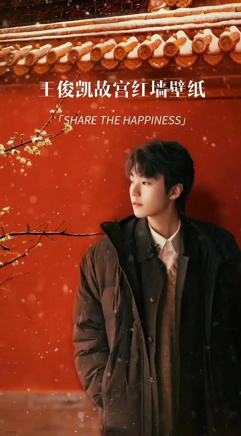 王俊凯故宫红墙的壁纸.
