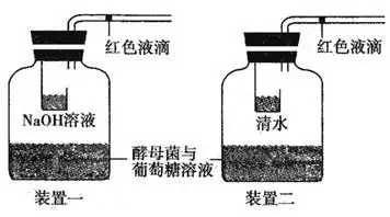 下列现象中能说明酵母菌既进行有氧呼吸.同时又进行无氧呼吸的是( )a.