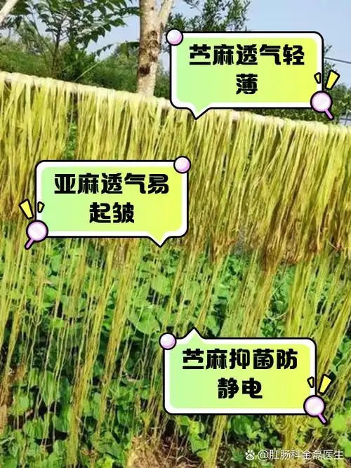 竺麻和亚麻的区别和好处