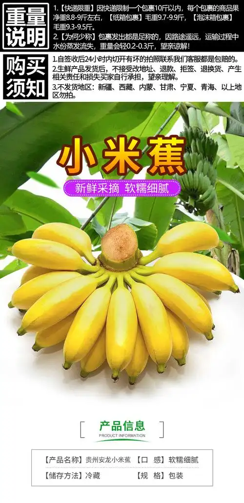 贵州安龙小米蕉糯米蕉小香蕉新鲜水果