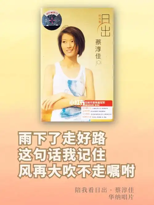 蔡淳佳的嗓音总是让我觉着世界还是很美好陪我看日出-《日出》蔡淳佳