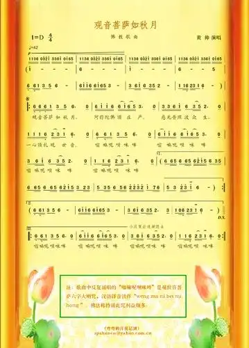 佛教歌曲《观音菩萨如秋月》