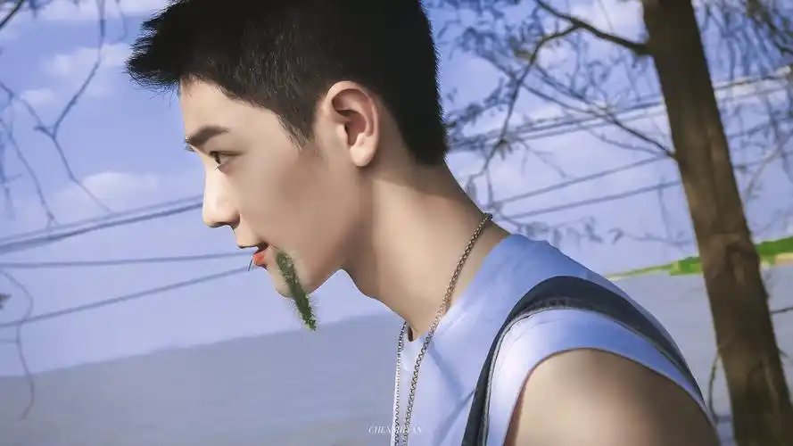 肖战- 堆糖,美图壁纸兴趣社区