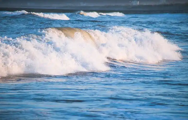 每日一歌:《浪花啊浪花》
