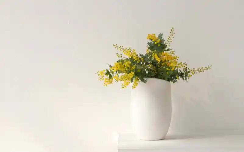 简约小清新家居静物高清桌面壁纸