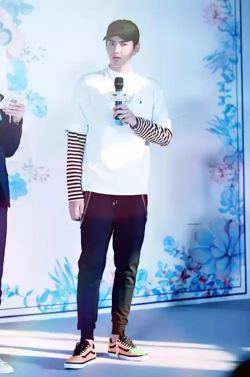 1年足足100天都穿vans吴亦凡到底看中了它什么