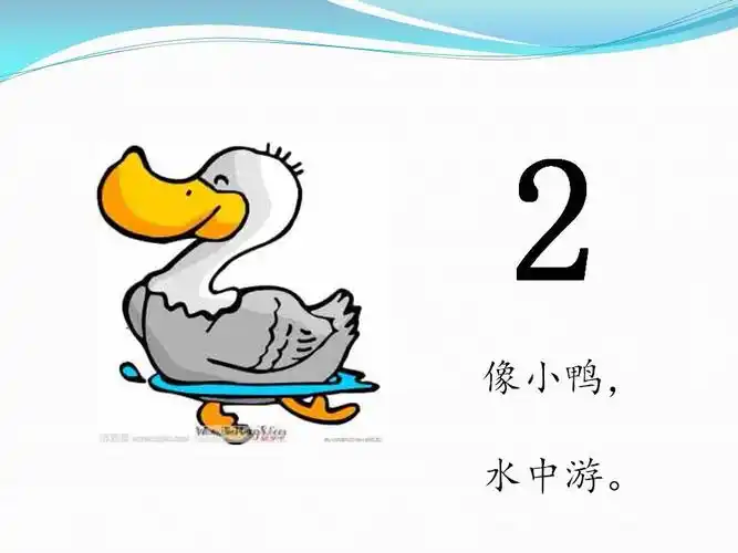 2像小鸭,水中游