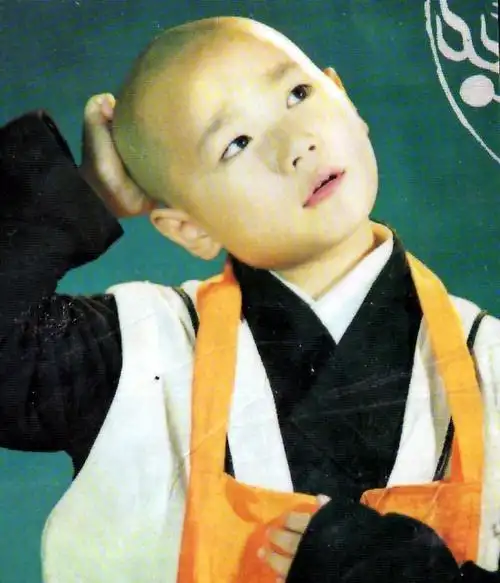 曹骏在镜头前的形象与表演实力均表现出色,与童星释小龙相比毫不逊色