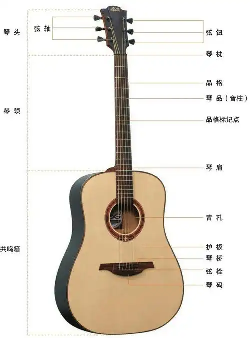 我们需要了解吉他