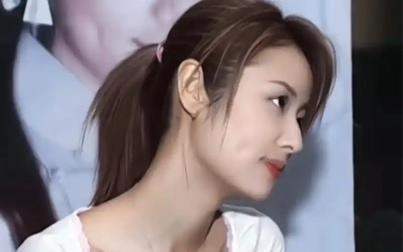 林心如 这张脸才是可御可甜,可柔可刚!