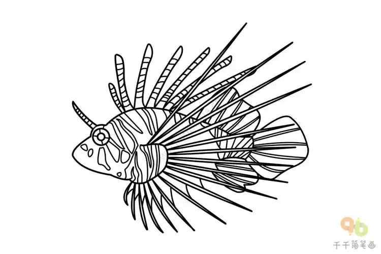 蓑鲉简笔画教程