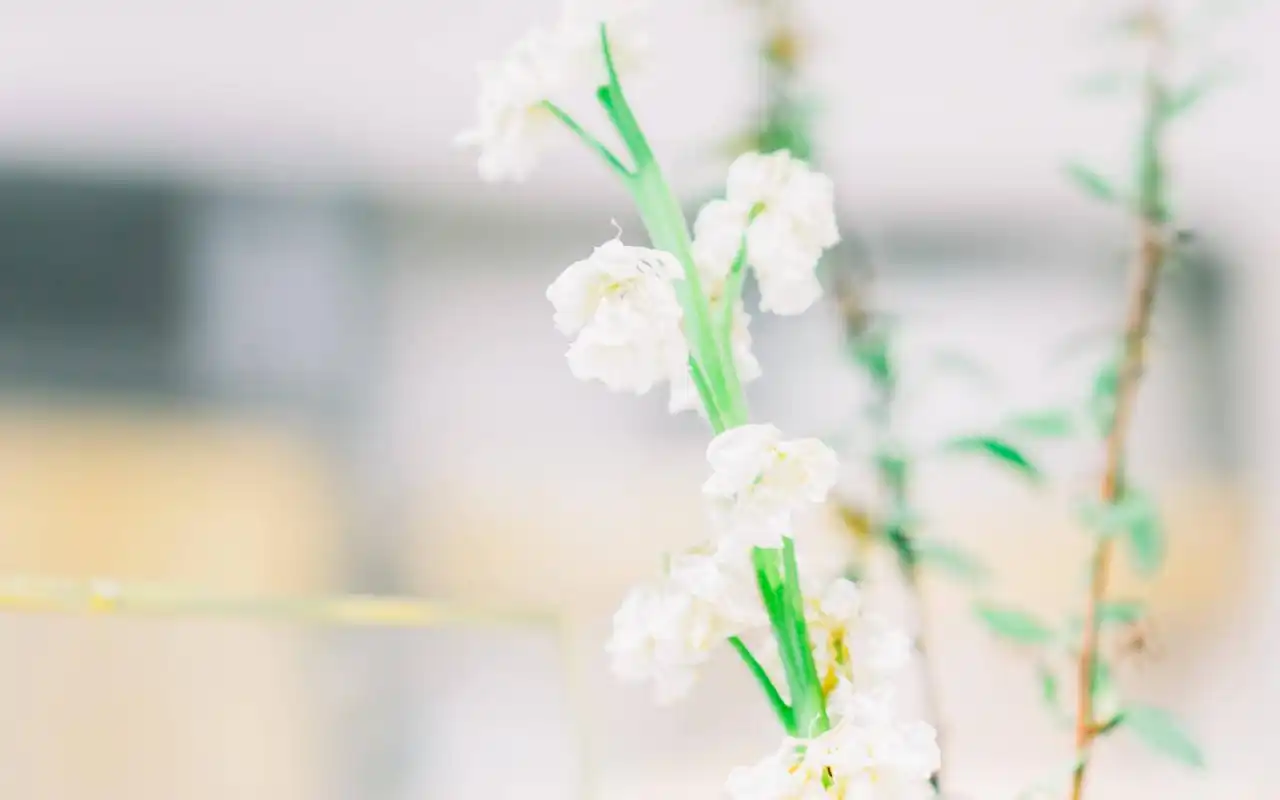 夏日小清新唯美意境图片桌面壁纸