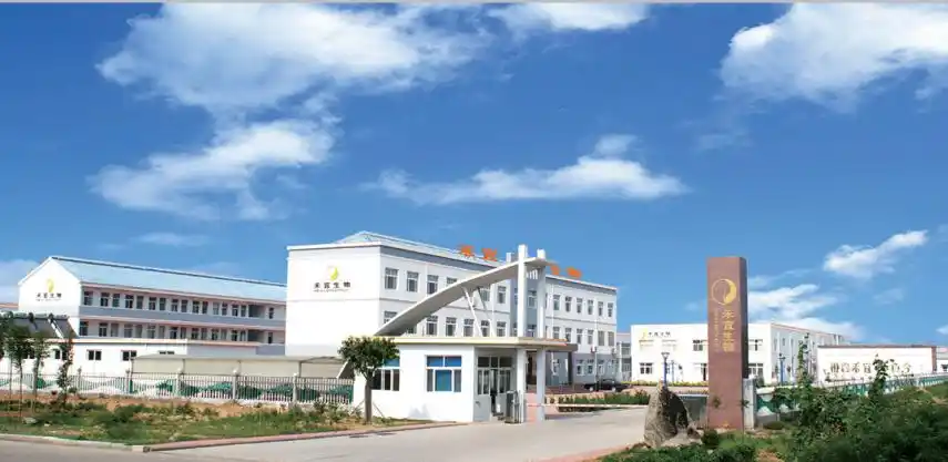 潍坊禾宜农化有限公司是山东禾宜生物科技有限公司名下的全资子公司