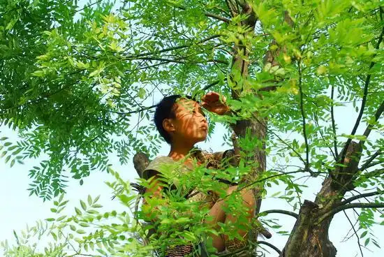 资料图片:《小英雄雨来》精彩剧照(11)