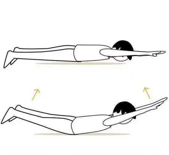 【养生——护腰】 不花钱的护腰法:小燕飞