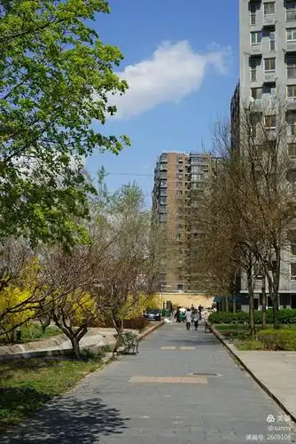 今日之北京印象