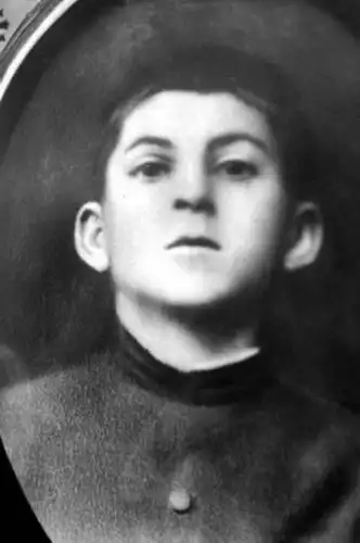 名人年轻时的样子 斯大林撞脸陈冠希